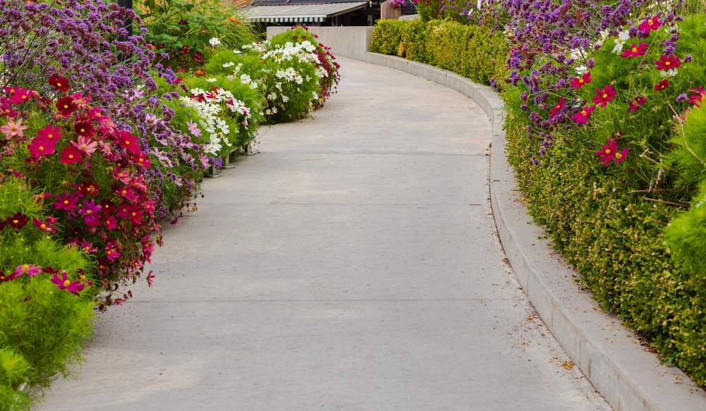 Walkway,in,flower,garden,in,summer,time.,view,of,colourful